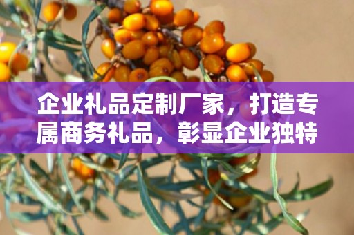 企业礼品定制厂家，打造专属商务礼品，彰显企业独特魅力