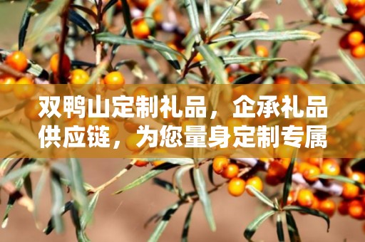 双鸭山定制礼品，企承礼品供应链，为您量身定制专属礼品