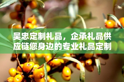 吴忠定制礼品，企承礼品供应链您身边的专业礼品定制公司