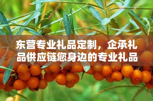 东营专业礼品定制，企承礼品供应链您身边的专业礼品定制公司