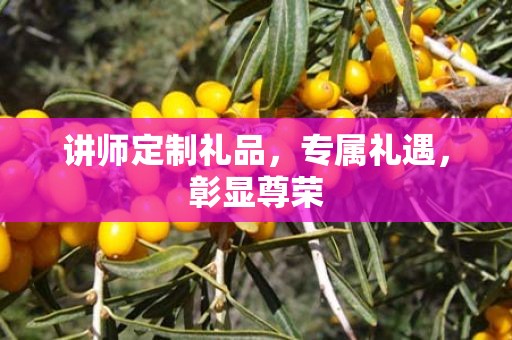 讲师定制礼品，专属礼遇，彰显尊荣