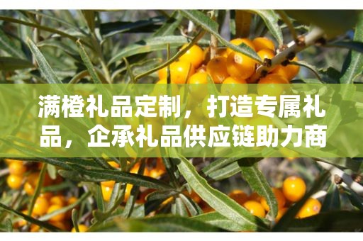 满橙礼品定制，打造专属礼品，企承礼品供应链助力商务之选